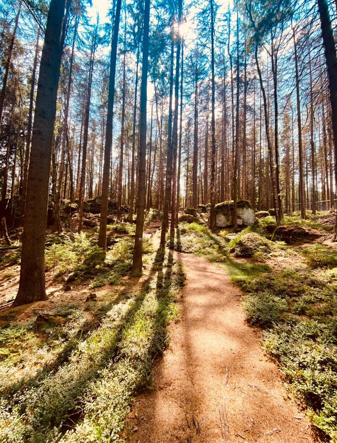 Вилла Stodola Na Widoku Радкув Экстерьер фото